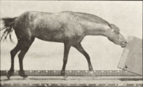Plate 657 'Lotta' rolling a box — figure reference